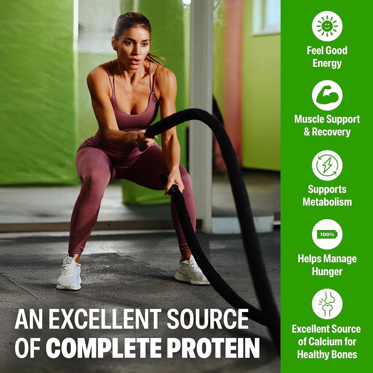 Orgain 38g High Protein Shake, Dairy Isolate Protein Milk, Chocolate Fudge, 6g BCAAs, 1g Sugar Per Serving, Meal Replacement, Ready to Drink, Keto Friendly, Gluten-Free 14 Fl Oz (Pack of 12)